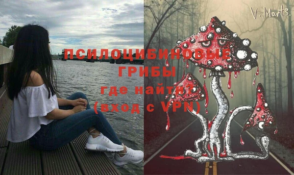 а пвп мука Армянск