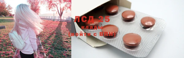дживик Арсеньев