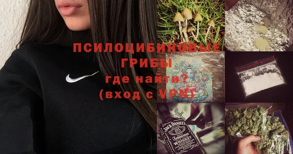 дживик Арсеньев