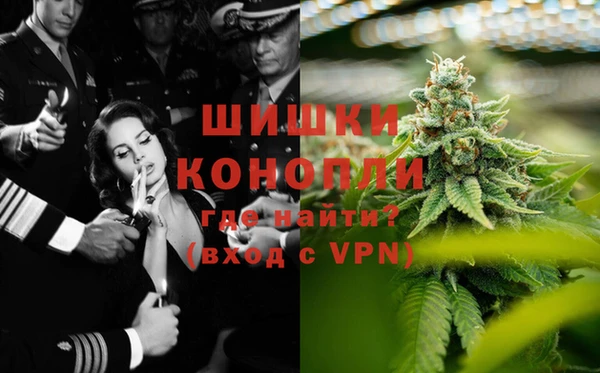 дживик Аркадак