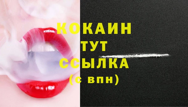 дживик Арсеньев