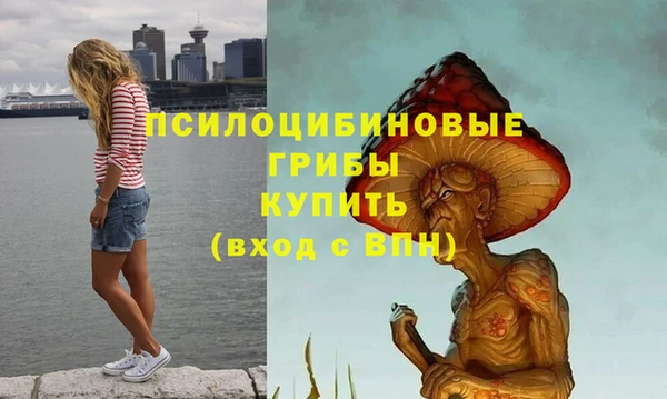 a pvp Осинники